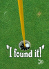 8x10 Print - Golf Found It